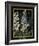 Ornamental - Blois Luxe-Stephanie Monahan-Framed Giclee Print