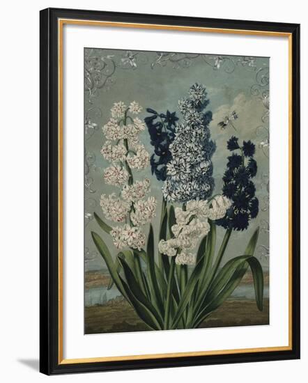 Ornamental - Blois-Stephanie Monahan-Framed Giclee Print