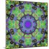 Ornamental Blossoms Mandala-Alaya Gadeh-Mounted Photographic Print