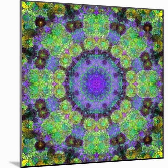 Ornamental Blossoms Mandala-Alaya Gadeh-Mounted Photographic Print