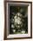 Ornamental Bouquet-Ralph Steiner-Framed Art Print