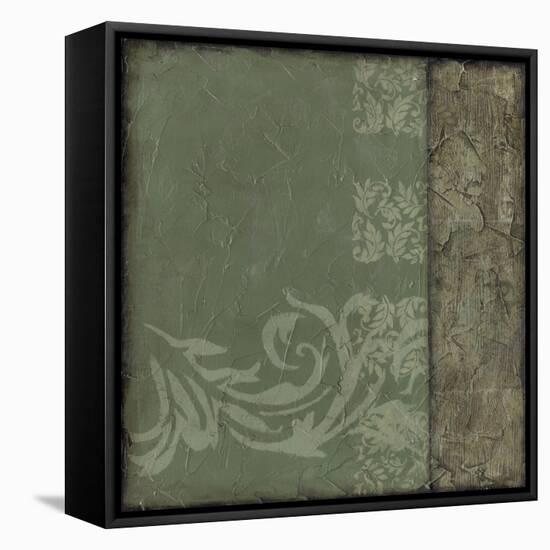 Ornamental Element VI-Jennifer Goldberger-Framed Stretched Canvas