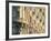 Ornamental Facade of the Carlton Hotel, Cannes, Alpes-Maritimes, Cote d'Azur, Provence, France-Ruth Tomlinson-Framed Photographic Print