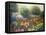 Ornamental Garden-Kevin Dodds-Framed Premier Image Canvas