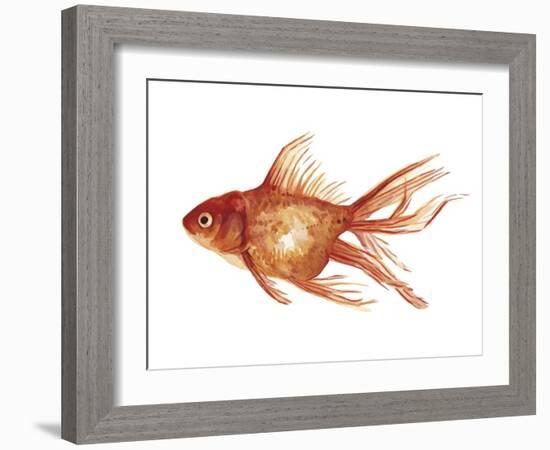 Ornamental Goldfish I-Emma Scarvey-Framed Art Print