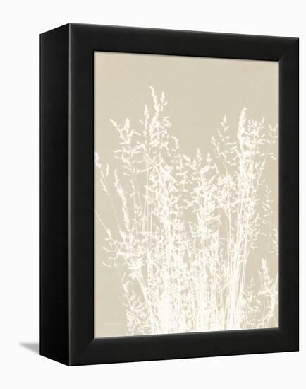 Ornamental Grass I Neutral-Kathy Ferguson-Framed Stretched Canvas