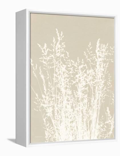 Ornamental Grass I Neutral-Kathy Ferguson-Framed Stretched Canvas