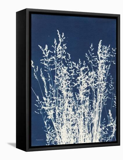 Ornamental Grass I-Kathy Ferguson-Framed Stretched Canvas