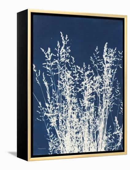 Ornamental Grass I-Kathy Ferguson-Framed Stretched Canvas