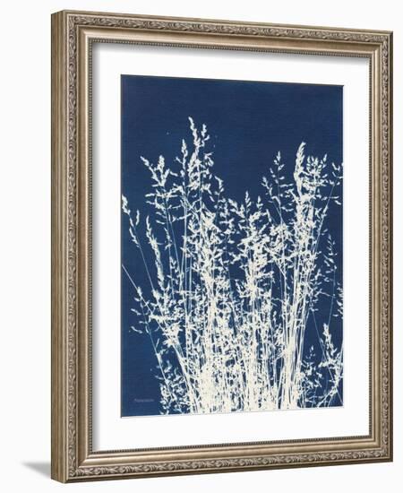 Ornamental Grass I-Kathy Ferguson-Framed Art Print