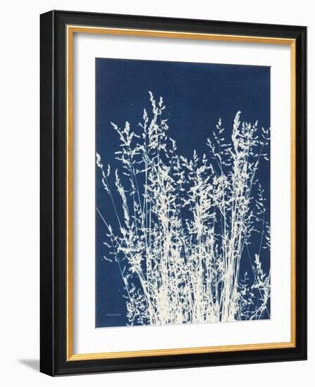 Ornamental Grass I-Kathy Ferguson-Framed Art Print