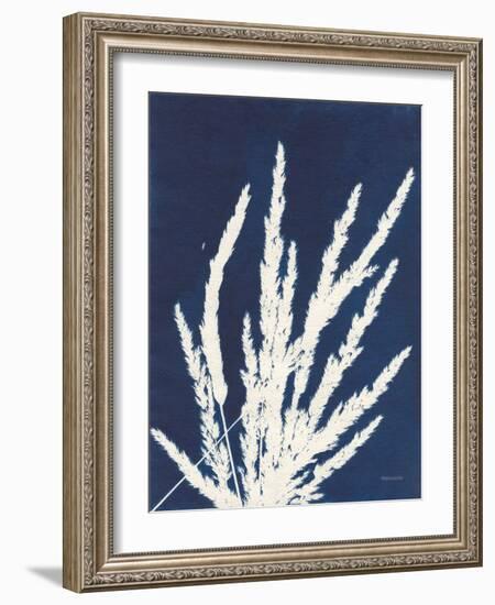 Ornamental Grass II-Kathy Ferguson-Framed Art Print