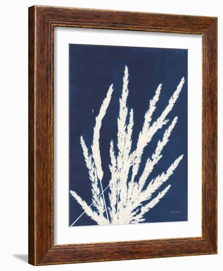 Ornamental Grass II-Kathy Ferguson-Framed Art Print