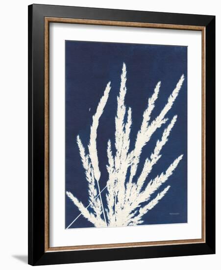 Ornamental Grass II-Kathy Ferguson-Framed Art Print