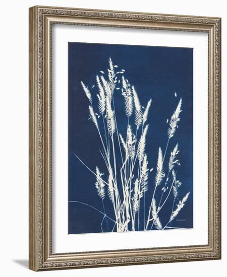 Ornamental Grass III-Kathy Ferguson-Framed Art Print