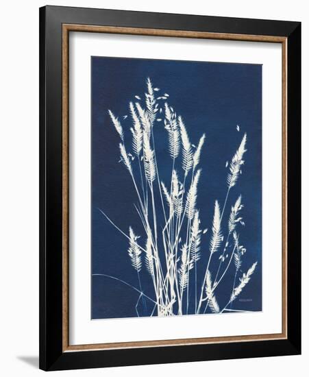 Ornamental Grass III-Kathy Ferguson-Framed Art Print
