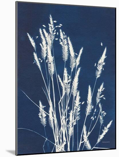 Ornamental Grass III-Kathy Ferguson-Mounted Art Print