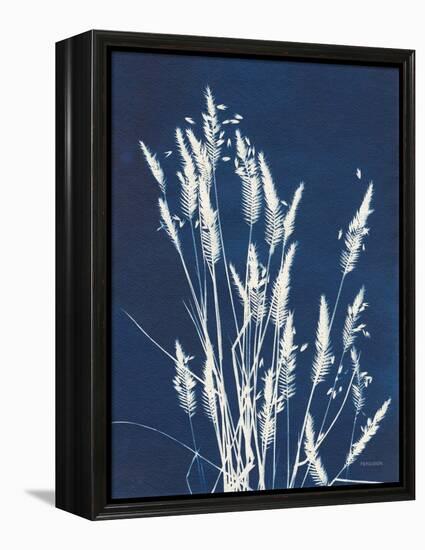 Ornamental Grass III-Kathy Ferguson-Framed Stretched Canvas