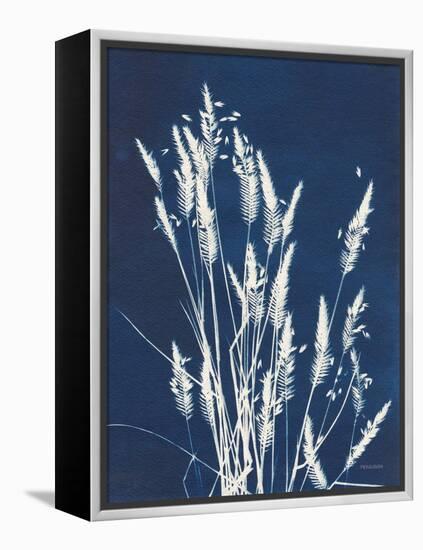 Ornamental Grass III-Kathy Ferguson-Framed Stretched Canvas