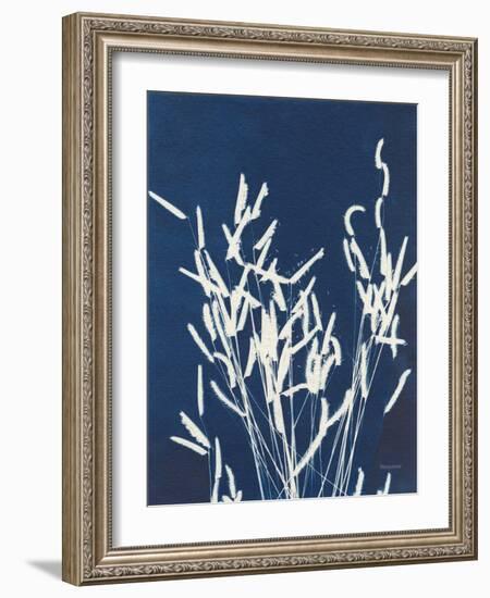 Ornamental Grass IV-Kathy Ferguson-Framed Art Print