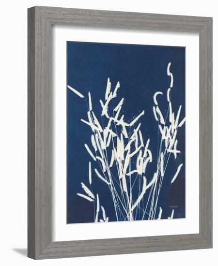 Ornamental Grass IV-Kathy Ferguson-Framed Art Print