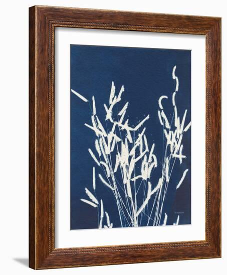 Ornamental Grass IV-Kathy Ferguson-Framed Art Print