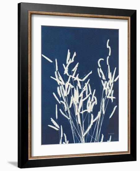 Ornamental Grass IV-Kathy Ferguson-Framed Art Print