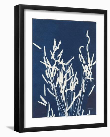 Ornamental Grass IV-Kathy Ferguson-Framed Art Print