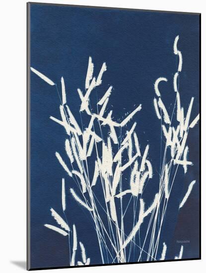 Ornamental Grass IV-Kathy Ferguson-Mounted Art Print