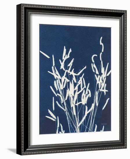 Ornamental Grass IV-Kathy Ferguson-Framed Art Print