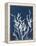 Ornamental Grass IV-Kathy Ferguson-Framed Stretched Canvas