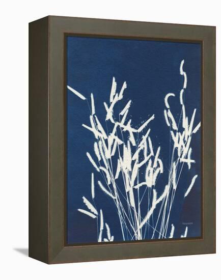 Ornamental Grass IV-Kathy Ferguson-Framed Stretched Canvas