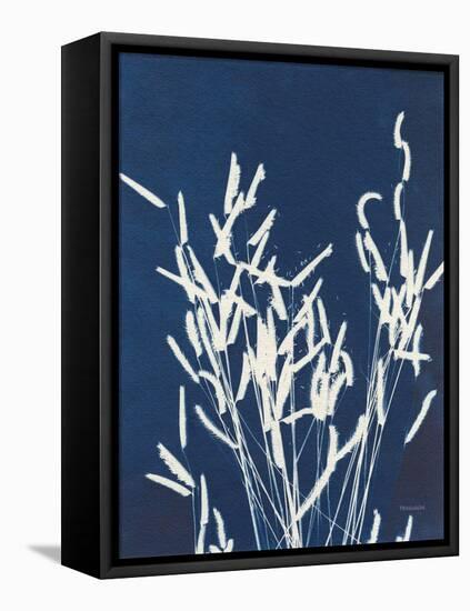 Ornamental Grass IV-Kathy Ferguson-Framed Stretched Canvas