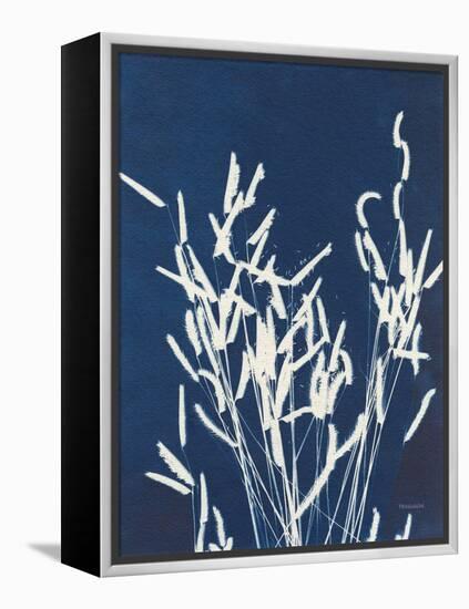 Ornamental Grass IV-Kathy Ferguson-Framed Stretched Canvas