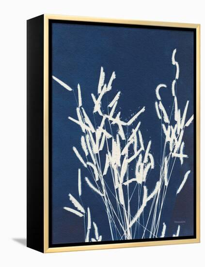 Ornamental Grass IV-Kathy Ferguson-Framed Stretched Canvas