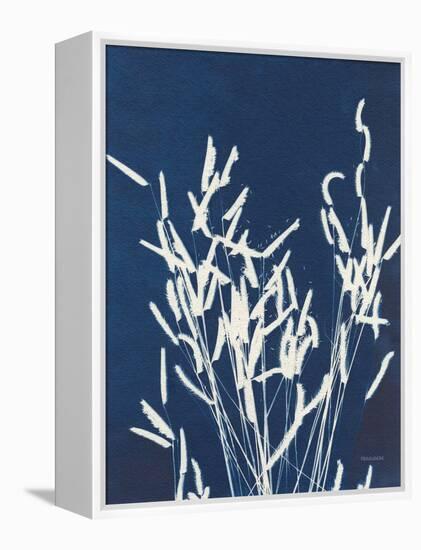 Ornamental Grass IV-Kathy Ferguson-Framed Stretched Canvas