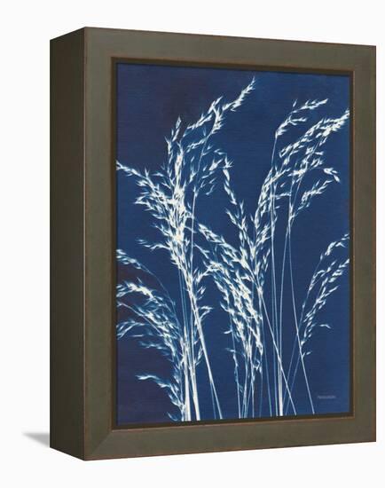 Ornamental Grass V-Kathy Ferguson-Framed Stretched Canvas