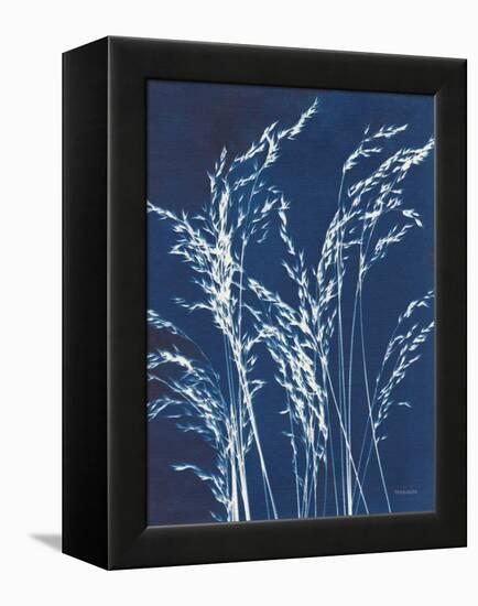 Ornamental Grass V-Kathy Ferguson-Framed Stretched Canvas