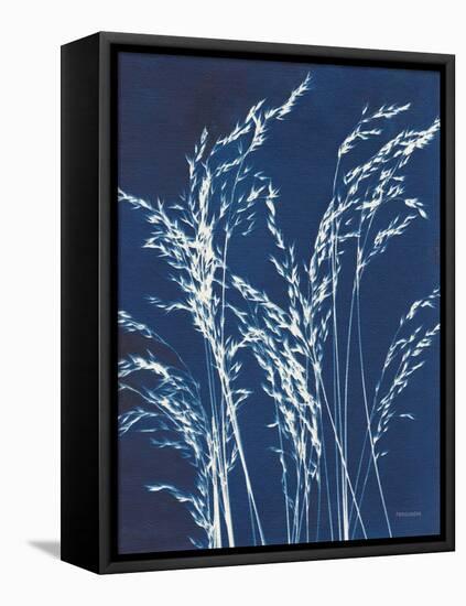 Ornamental Grass V-Kathy Ferguson-Framed Stretched Canvas