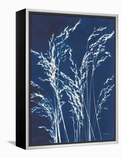 Ornamental Grass V-Kathy Ferguson-Framed Stretched Canvas