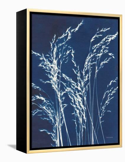Ornamental Grass V-Kathy Ferguson-Framed Stretched Canvas