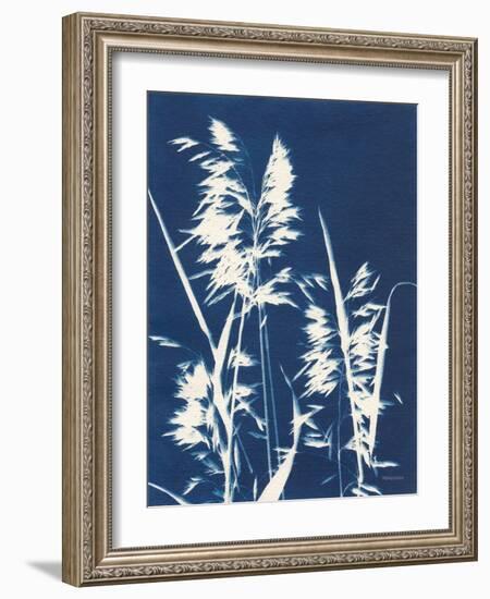 Ornamental Grass VI-Kathy Ferguson-Framed Art Print