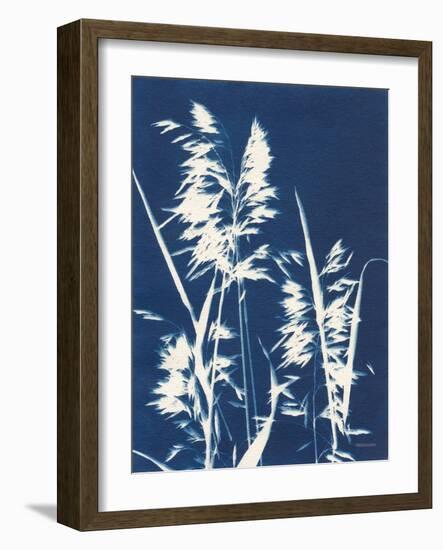 Ornamental Grass VI-Kathy Ferguson-Framed Art Print