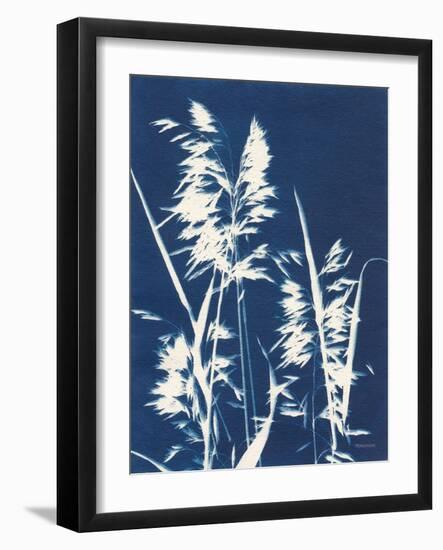 Ornamental Grass VI-Kathy Ferguson-Framed Art Print