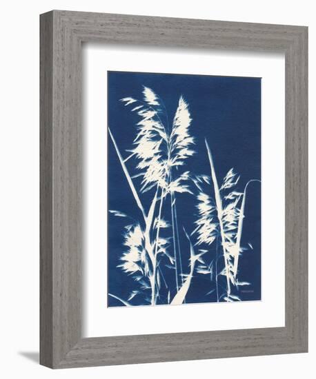 Ornamental Grass VI-Kathy Ferguson-Framed Art Print