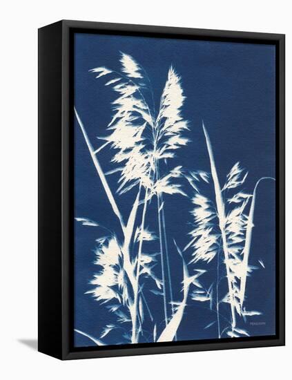 Ornamental Grass VI-Kathy Ferguson-Framed Stretched Canvas
