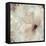 Ornamental II-Asia Jensen-Framed Stretched Canvas