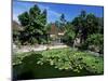 Ornamental Lake at the Old Palace of the Raja of Karangasem, Amlapura, Bali, Indonesia-Robert Francis-Mounted Photographic Print