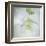 Ornamental Oregano-Don Paulson-Framed Giclee Print