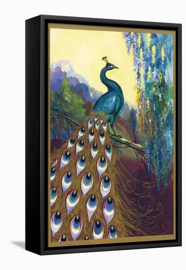 Ornamental Peacock-null-Framed Premier Image Canvas